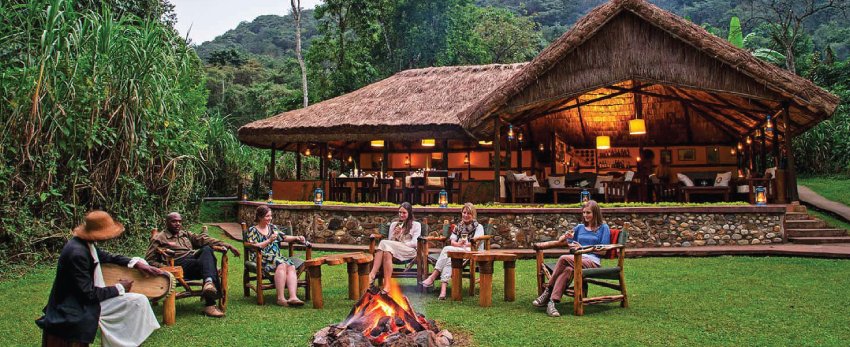 Luxury Gorilla Trekking Uganda