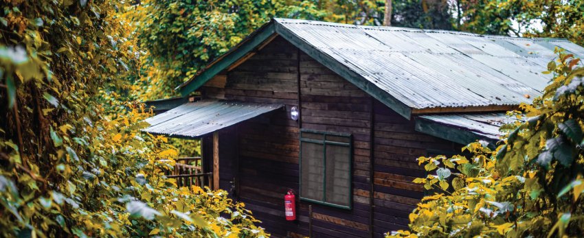 Rwenzori Mountains Luxury Safari