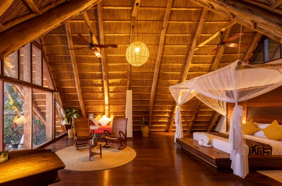 One and Only Gorilla's Nest Rwanda